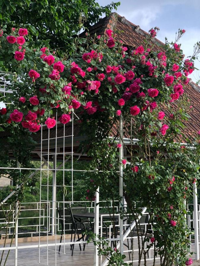 Villa Elita - Bela Crkva Bela Crkva  Bagian luar foto