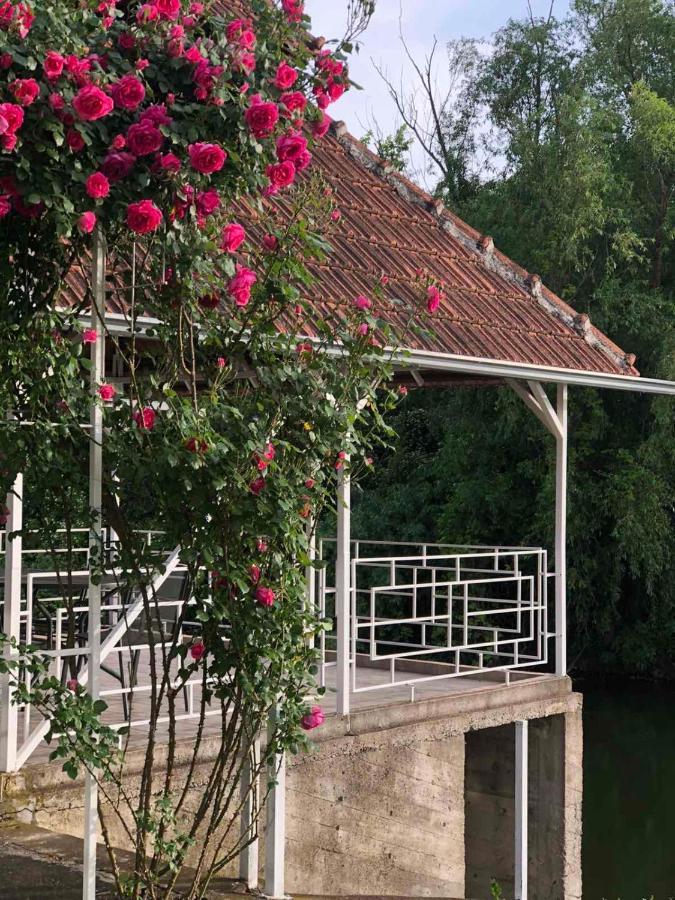 Villa Elita - Bela Crkva Bela Crkva  Bagian luar foto
