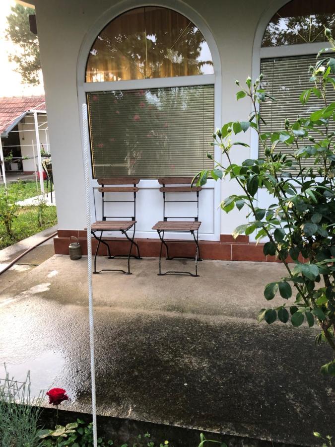 Villa Elita - Bela Crkva Bela Crkva  Bagian luar foto